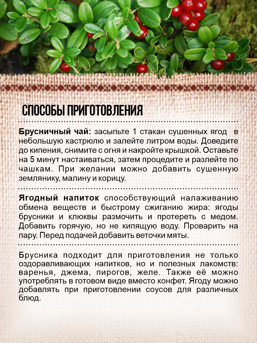 Почему нам всем необходимо есть ягоды брусники и продукты из нее — читать на malino-v.ru