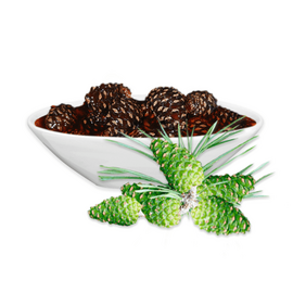 Варенье из долек Сосновой шишки Премиум весовое, Вес: 5 кг, фото 