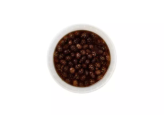Варенье из Сосновой шишки на меду, весовое, Вес: 5 кг, фото 